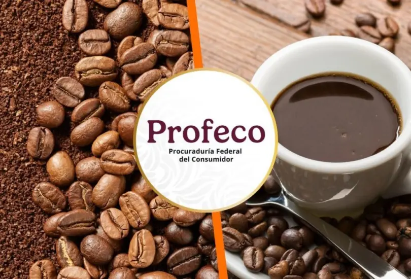 Estas son las mejores marcas de café puro, tostado y molido en México. Estas son las mejores marcas de café puro, tostado y molido en México.