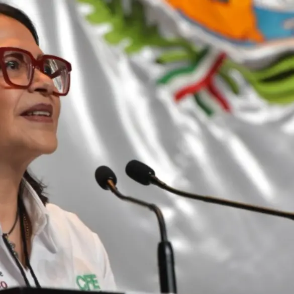 CFE: Cinco puntos clave de la comparecencia de Emilia Calleja en la Cámara de Diputados CFE: Cinco puntos clave de la comparecencia de Emilia Calleja en la Cámara de Diputados