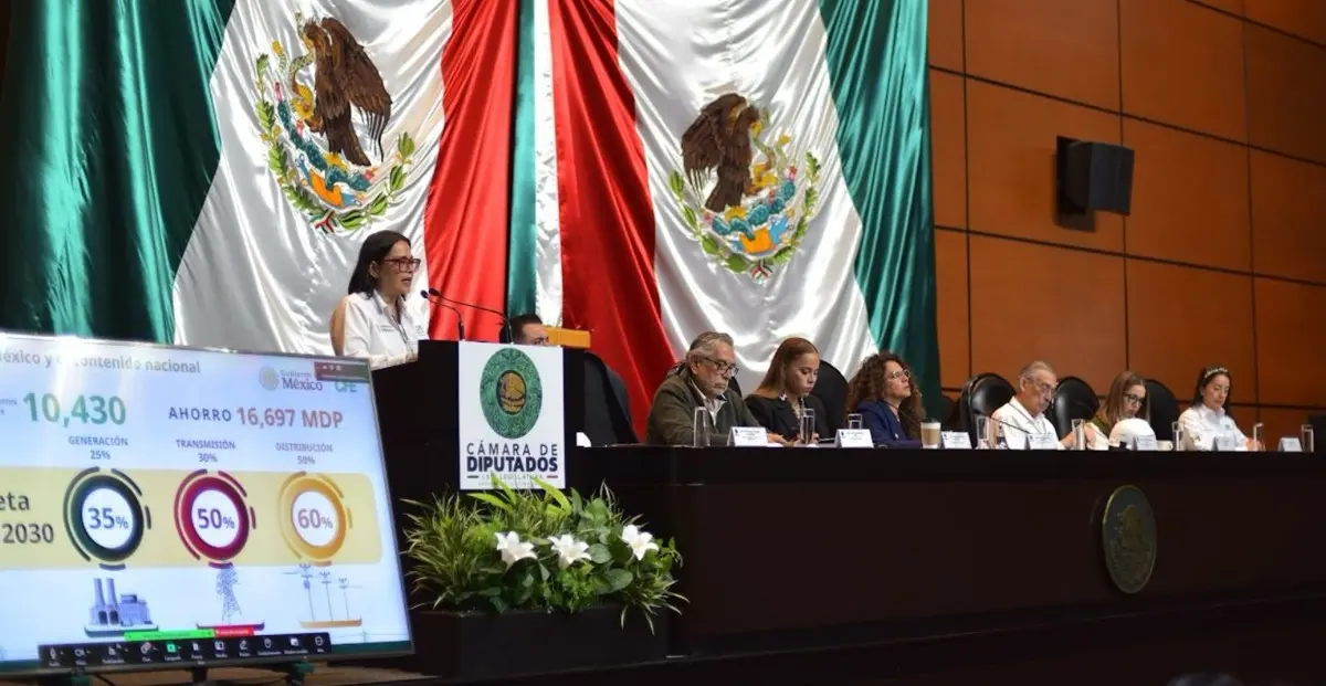 Emilia Calleja acudió a la Cámara de Diputados.  CFE.