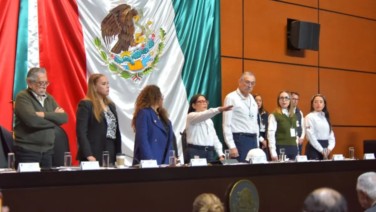 Emilia Calleja compareció ante la Cámara de Diputados.  CFE.