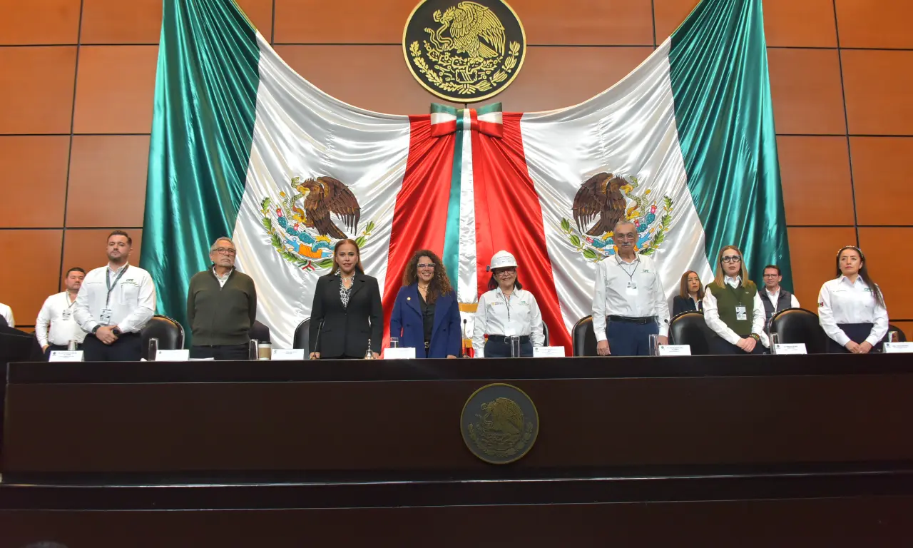  Comparecencia Emilia Calleja en la Cámara de Diputados. 