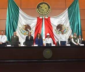 En vivo: Emilia Esther Calleja Alor, directora de la CFE, comparece en la Cámara de Diputados
