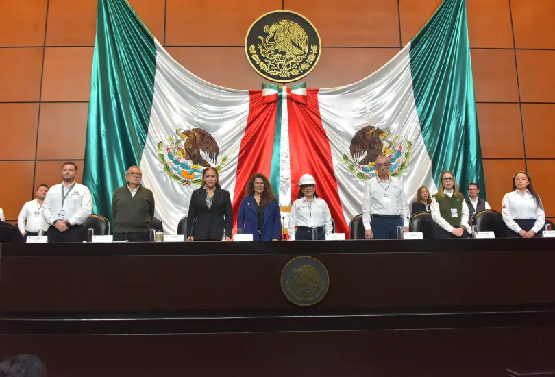 Comparecencia Emilia Calleja en la Cámara de Diputados.