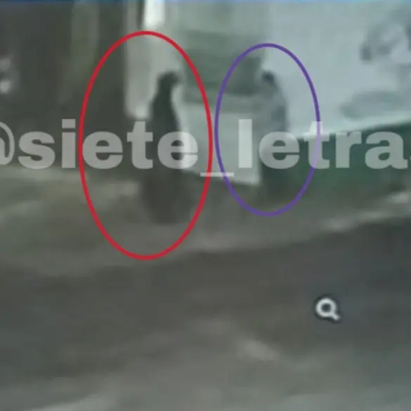 Amanda salió a pasear a su perro y fue brutalmente asesinada por un hombre con túnica negra en CDMX Amanda salió a pasear a su perro y fue brutalmente asesinada por un hombre con túnica negra en CDMX