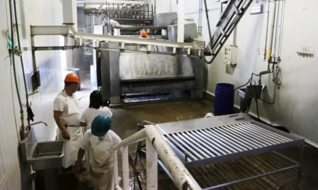  Presentan resultados sobre el rastro en Puebla. 