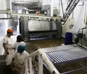 Gobierno municipal reporta avances en control sanitario del Rastro de Puebla