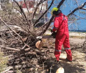 Protección Civil de Puebla realiza acciones preventivas ante ráfagas de viento