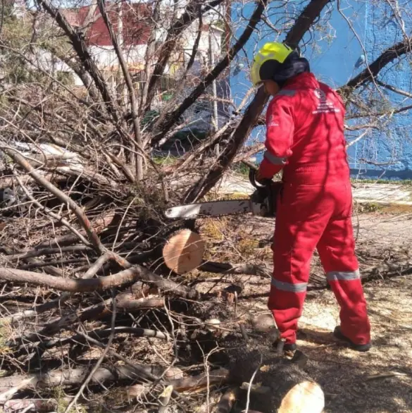 Protección Civil de Puebla realiza acciones preventivas ante ráfagas de viento