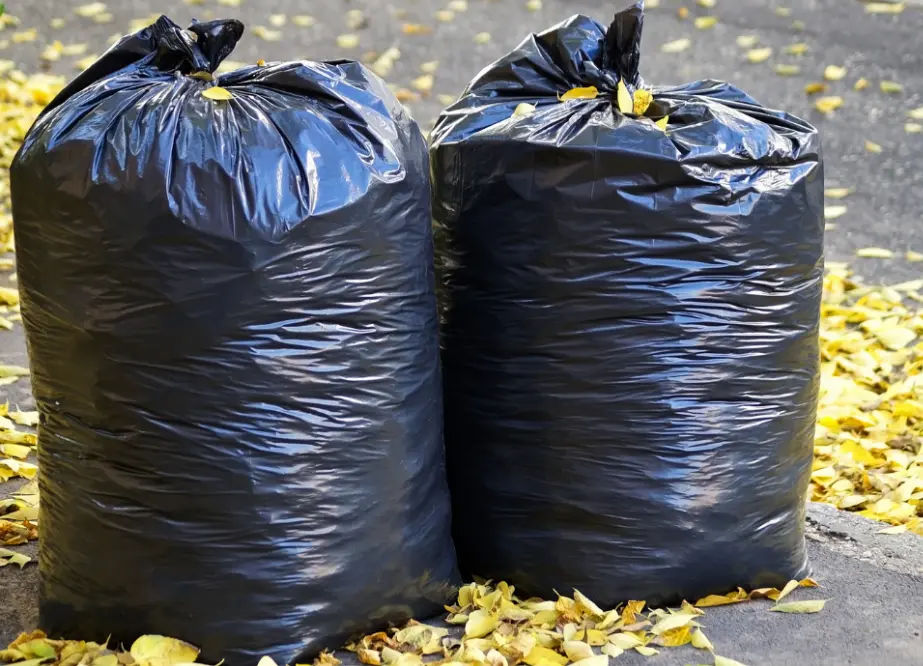 El OOSL confirmó que las rutas y horarios de recolección se mantendrán sin modificaciones. Especial.