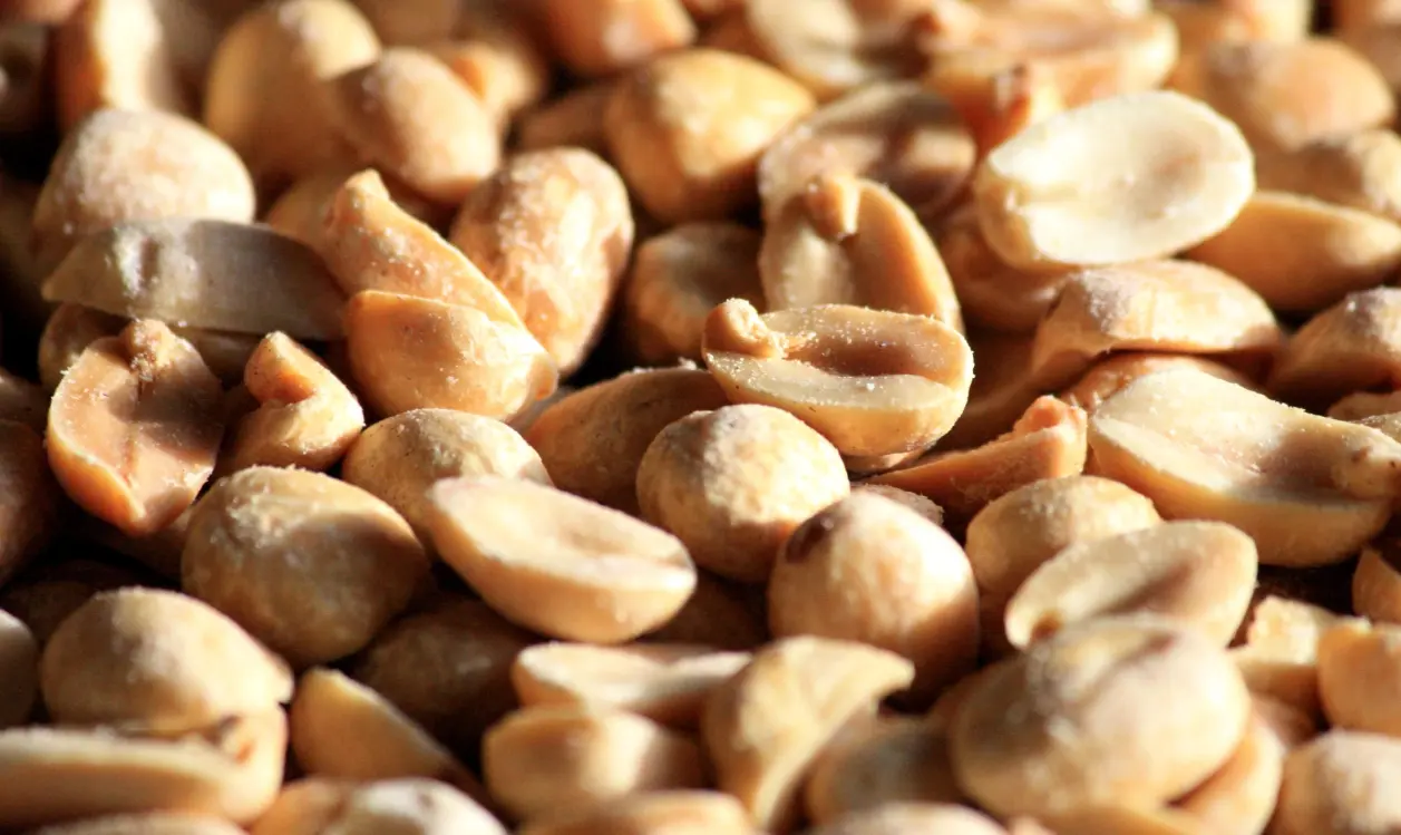  Consumirlos afecta directamente a tu salud. 