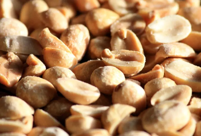 Consumirlos afecta directamente a tu salud. Consumirlos afecta directamente a tu salud.