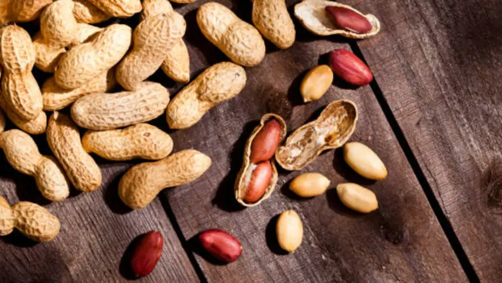 La Revista del Consumidor celebra su 49 aniversario con un estudio a fondo de las marcas más populares de cacahuates. Especial