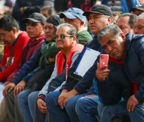 Cinco datos clave sobre los programas del Bienestar 2025: quién recibe más y dónde