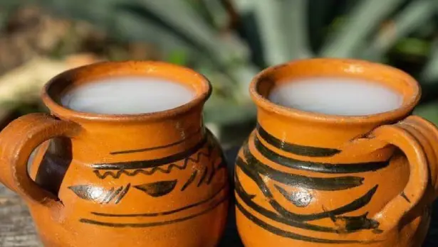 Los asistentes podrán degustar también pulque de sabores como frutos rojos, piña, avena, guayaba y mazapán, entre muchos otros. Especial.