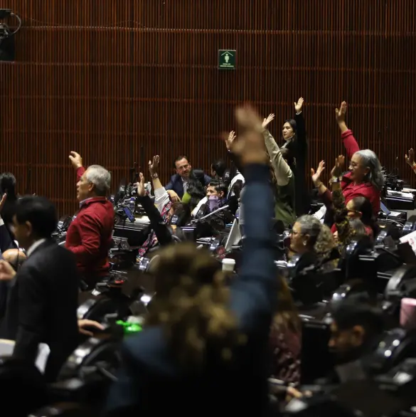 El Congreso lleno de papeles: ¿Por qué casi ninguna reforma llega a cambiar tu realidad?