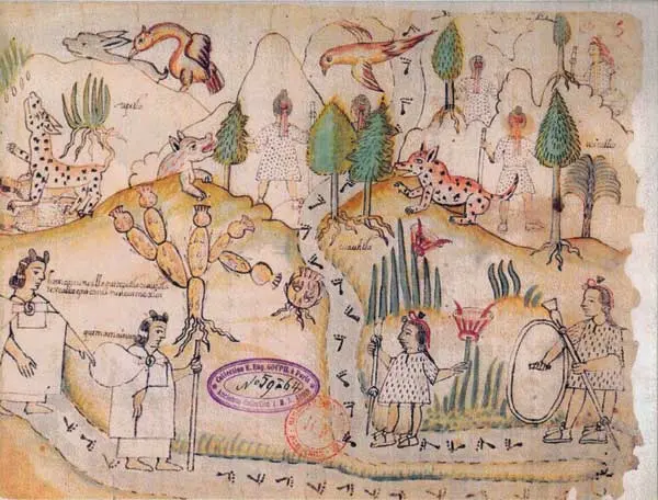 El Códice Azcatitlán está en Francia. Especial.