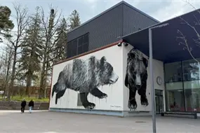 Educación en Finlandia: lo que podemos aprender y aplicar en México