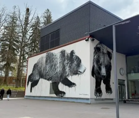 Educaci&oacute;n en Finlandia: lo que podemos aprender y aplicar en M&eacute;xico