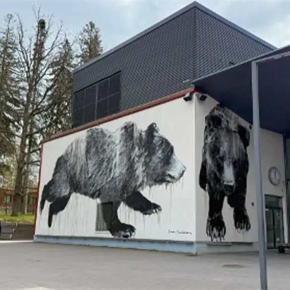 Educación en Finlandia: lo que podemos aprender y aplicar en México