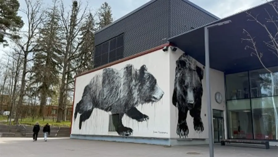 Educaci&oacute;n en Finlandia: lo que podemos aprender y aplicar en M&eacute;xico