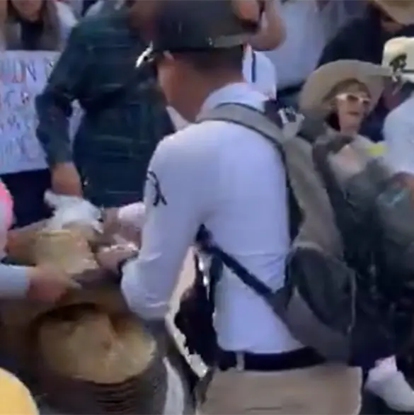 Lucraron con su imagen: Critican a asistentes a la marcha de la Generación Z por repartir sombreros para emular a Carlos Manzo Lucraron con su imagen: Critican a asistentes a la marcha de la Generación Z por repartir sombreros para emular a Carlos Manzo