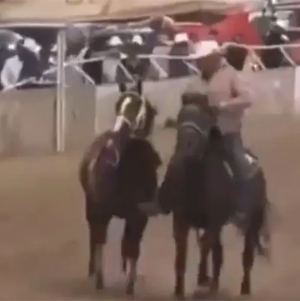 Video revela el terror en carrera de caballos en Chihuahua: siete muertos tras ataque armado Video revela el terror en carrera de caballos en Chihuahua: siete muertos tras ataque armado