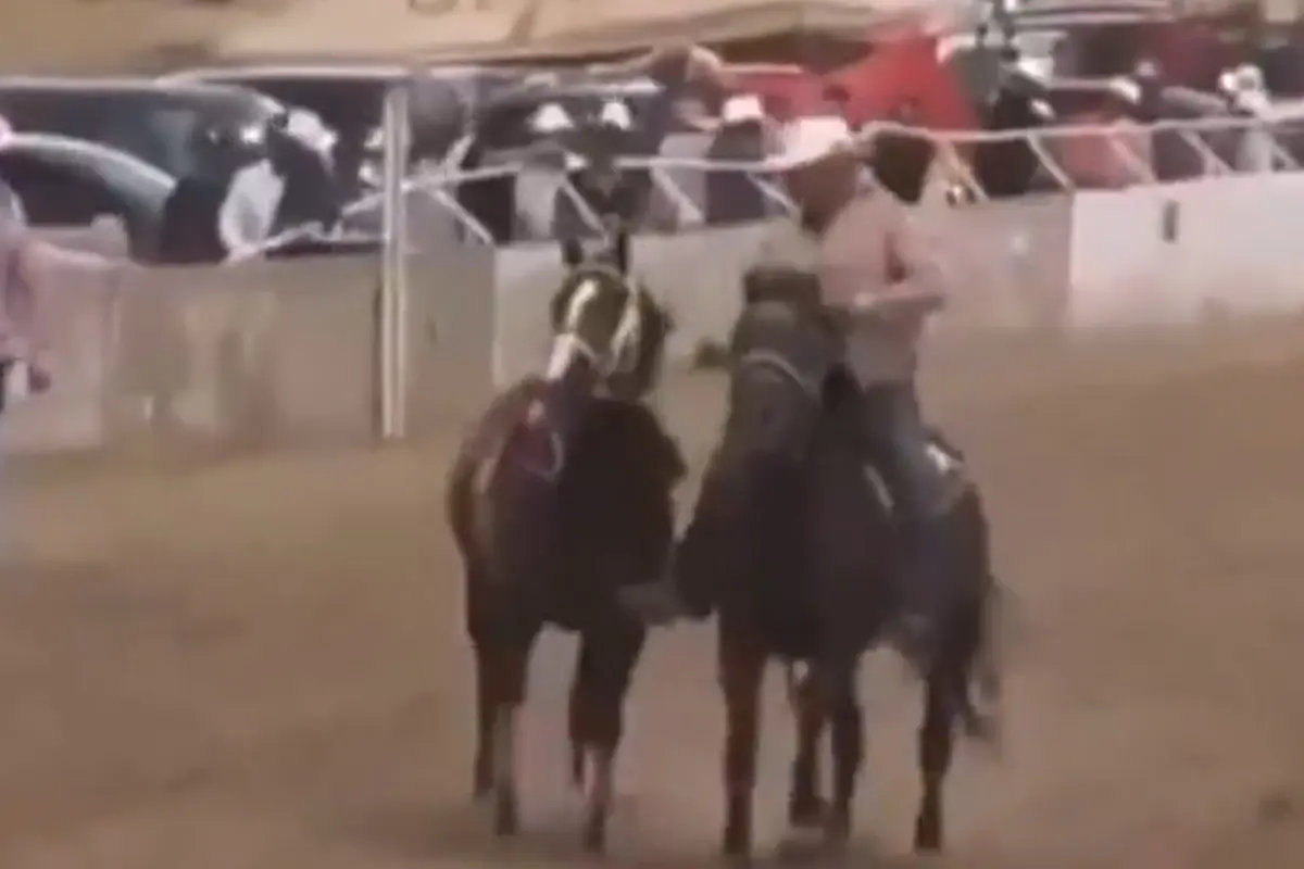 Balacera en carreras de caballos en Parral deja al menos 7 muertos Especial
