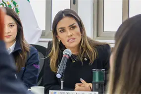 "No tienen pruebas": Rojo de la Vega niega estar detrás de la convocatoria de comerciantes a la marcha de la Generación Z