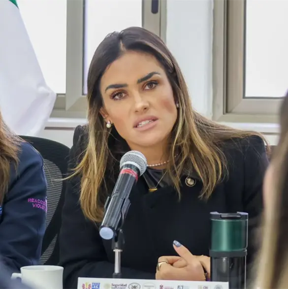 "No tienen pruebas": Rojo de la Vega niega estar detrás de la convocatoria de comerciantes a la marcha de la Generación Z