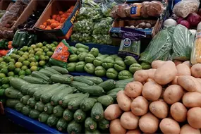 ¿Cuánto costará la canasta básica en 2026? Sheinbaum fija precio por seis meses