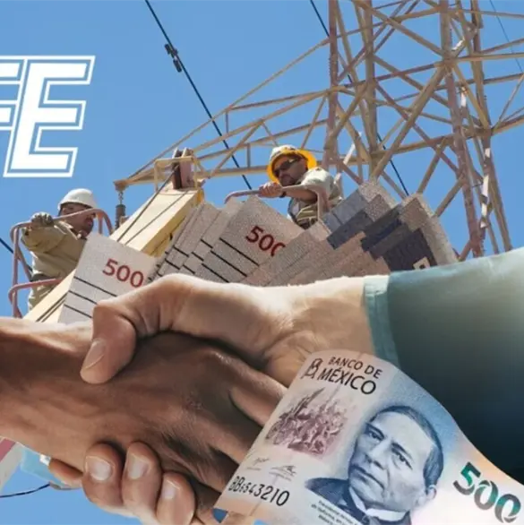 ¿Quieres ser socio de la CFE?: Así puedes invertir en la red eléctrica desde 100 pesos ¿Quieres ser socio de la CFE?: Así puedes invertir en la red eléctrica desde 100 pesos