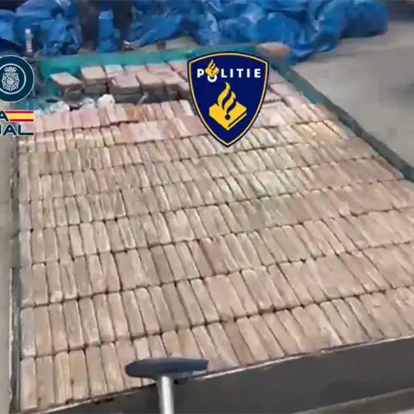 Así operaba el CJNG en España: fincas, maquinaria industrial y alianza con la Camorra