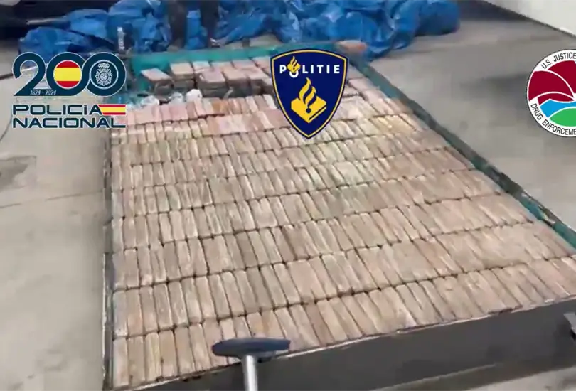 Así operaba el CJNG en España: fincas, maquinaria industrial y alianza con la Camorra Así operaba el CJNG en España: fincas, maquinaria industrial y alianza con la Camorra