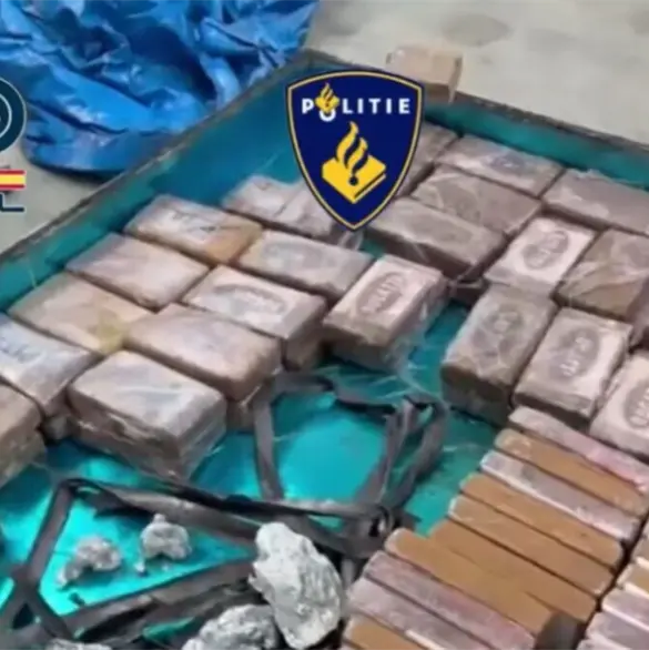 Así desmanteló la Policía de España la "oficina" del CJNG y aseguró dos toneladas de droga