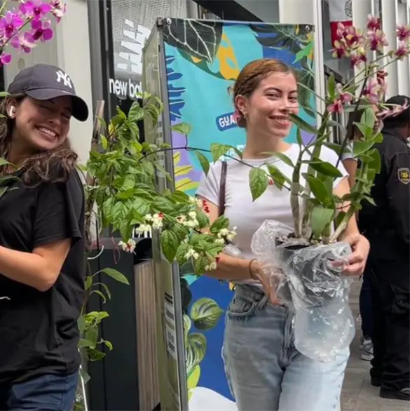 Plant Fest 2025: ¿Cuándo es el festival de plantas desde $25 en la CDMX?