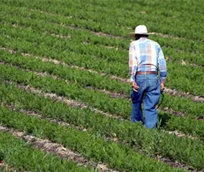 Puebla invierte m&aacute;s de mil 600 millones de pesos para modernizar y fortalecer el campo