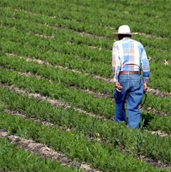Puebla invierte más de mil 600 millones de pesos para modernizar y fortalecer el campo