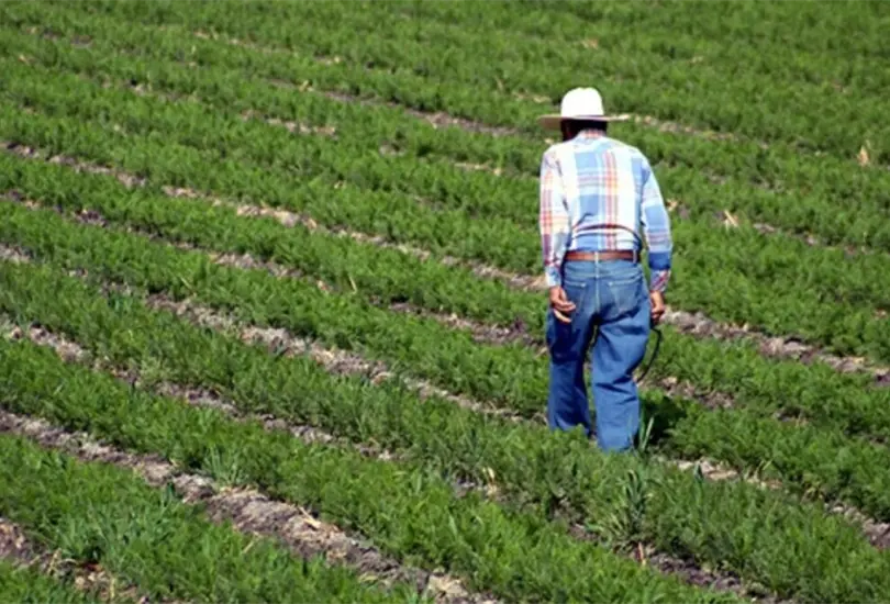 El gobierno de Puebla impulsa al sector agrícola para fortalecer la producción en todo el estado.