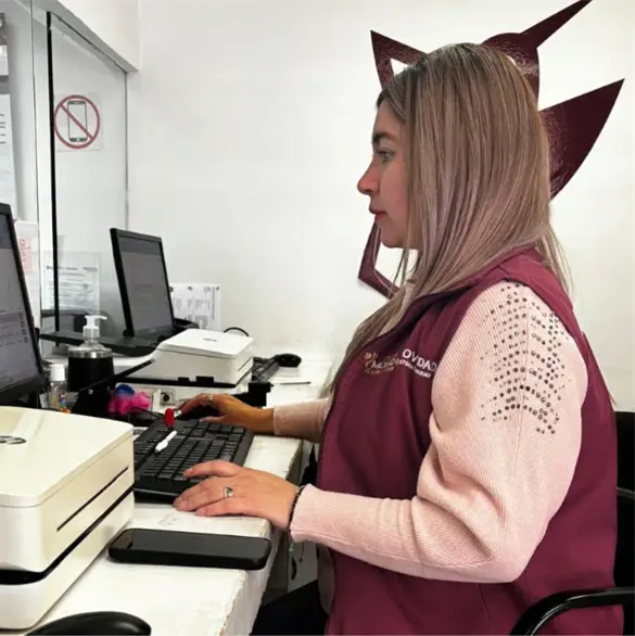 Así puedes renovar tu licencia de conducir en Edomex y que te llegue directo a tu casa