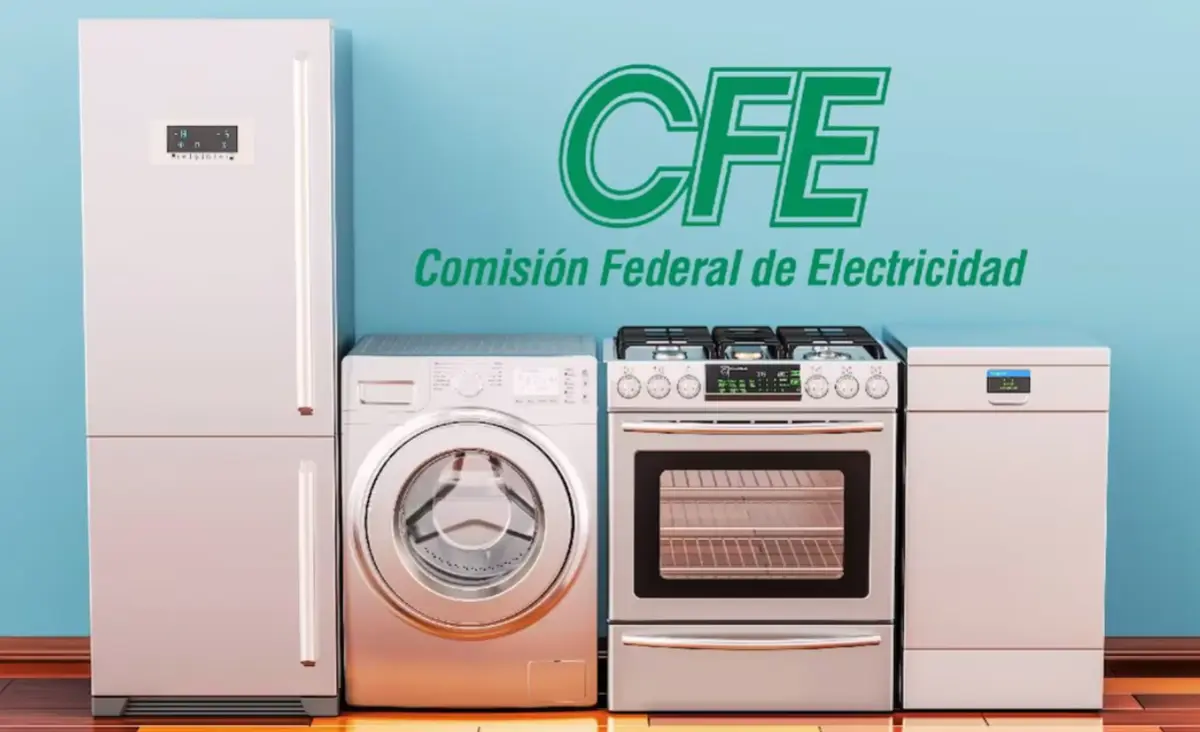  Así puedes renovar tus electrodomésticos y pagar menos en tu recibo de luz. 