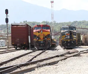 Tragedia en las vías de Coahuila: mujer muere al ser embestida por tren