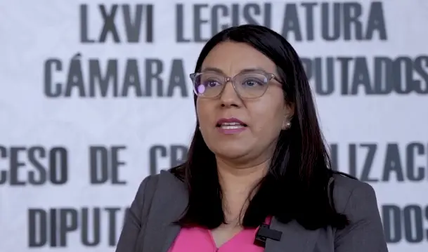 Martha Aracely Cruz presentó una queja formal ante el Comité de Ética de la Cámara de Diputados, al considerar que el beso enviado por Cuauhtémoc Blanco constituyó un acto de violencia simbólica y acoso. Cámara de Diputados.