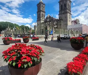 Habilitan puntos temporales para venta de artículos navideños en Puebla