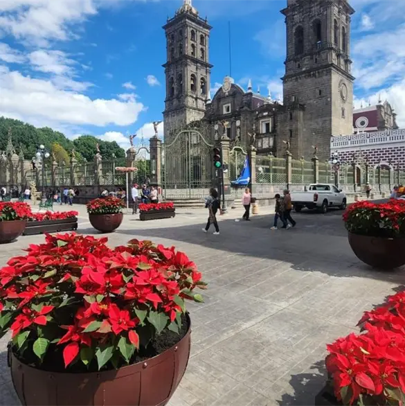 Habilitan puntos temporales para venta de artículos navideños en Puebla Habilitan puntos temporales para venta de artículos navideños en Puebla
