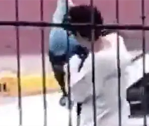 Abandonado dos veces: abuelas dejan de buscar a bebé de Tultitlán y será dado en adopción