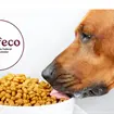 Estas son las croquetas mexicanas para perro m&aacute;s econ&oacute;micas y de buena calidad, seg&uacute;n Profeco