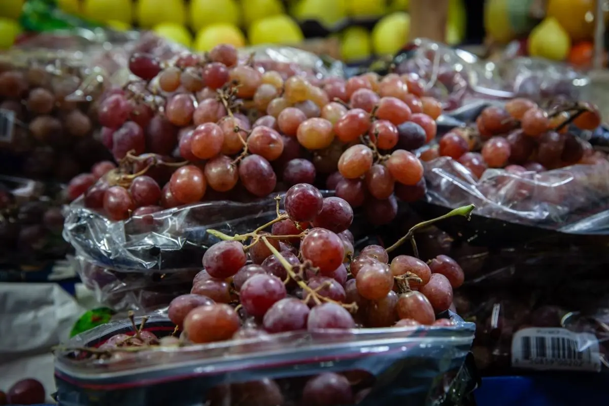 Precios uva 2025 Cuartoscuro