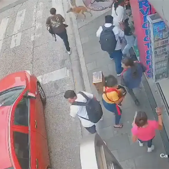 Madre muere por bala perdida durante balacera al proteger a su bebé | VIDEO