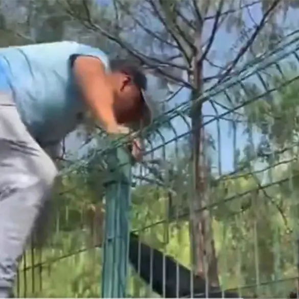 Policía arroja gas lacrimógeno a padre que exigía justicia por la desaparición de su hijo, Jeshua Cisneros Policía arroja gas lacrimógeno a padre que exigía justicia por la desaparición de su hijo, Jeshua Cisneros