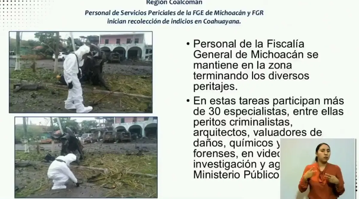 Peritos federales y análisis especializados Especial